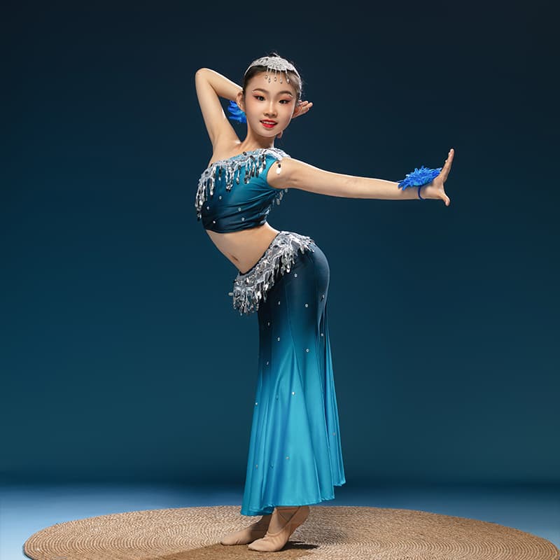 ダンス衣装 ダンス衣装 きらめき舞姫セパレート衣装