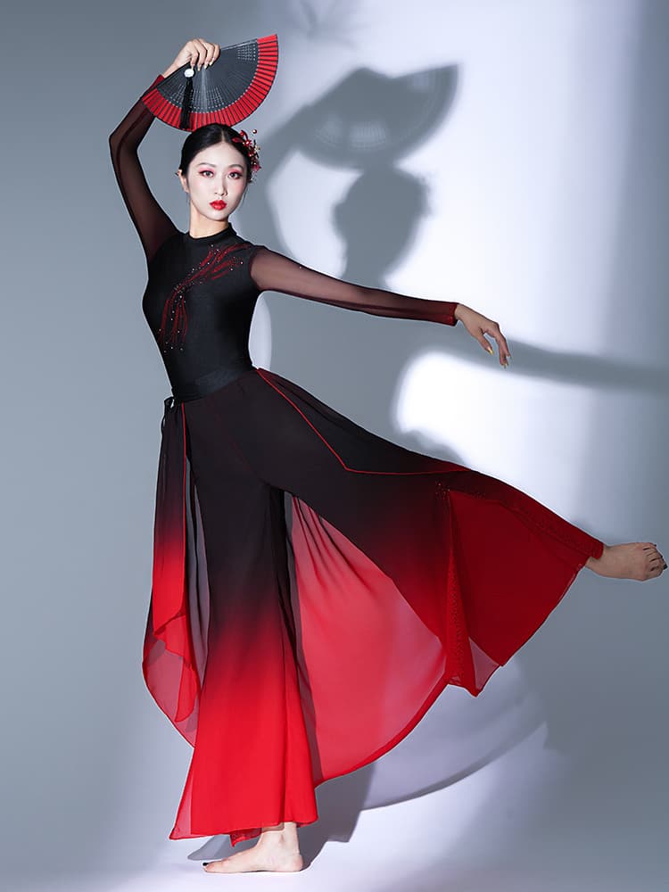ダンス衣装 優美扇舞シースルー舞踏衣装
