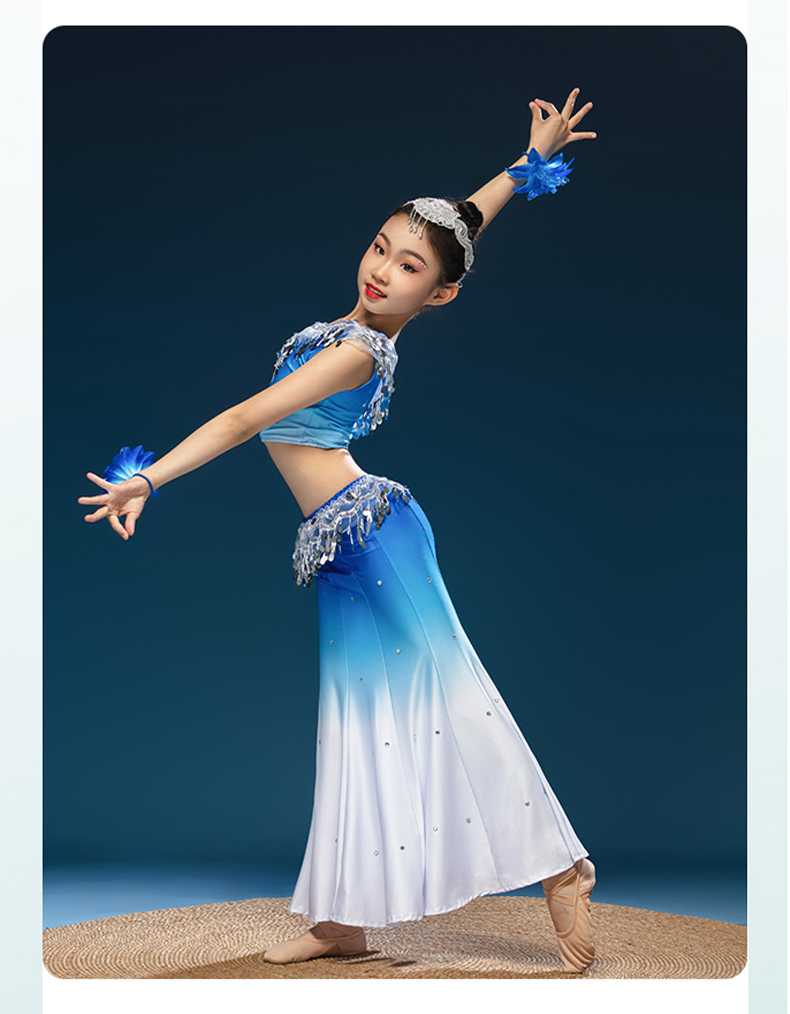 ダンス衣装 ダンス衣装 きらめき舞姫セパレート衣装