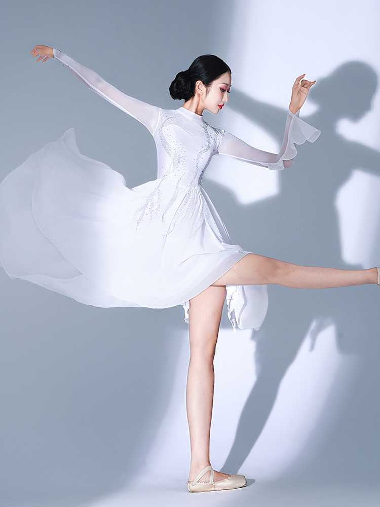 ダンス衣装 優美なる舞姫ワンピース