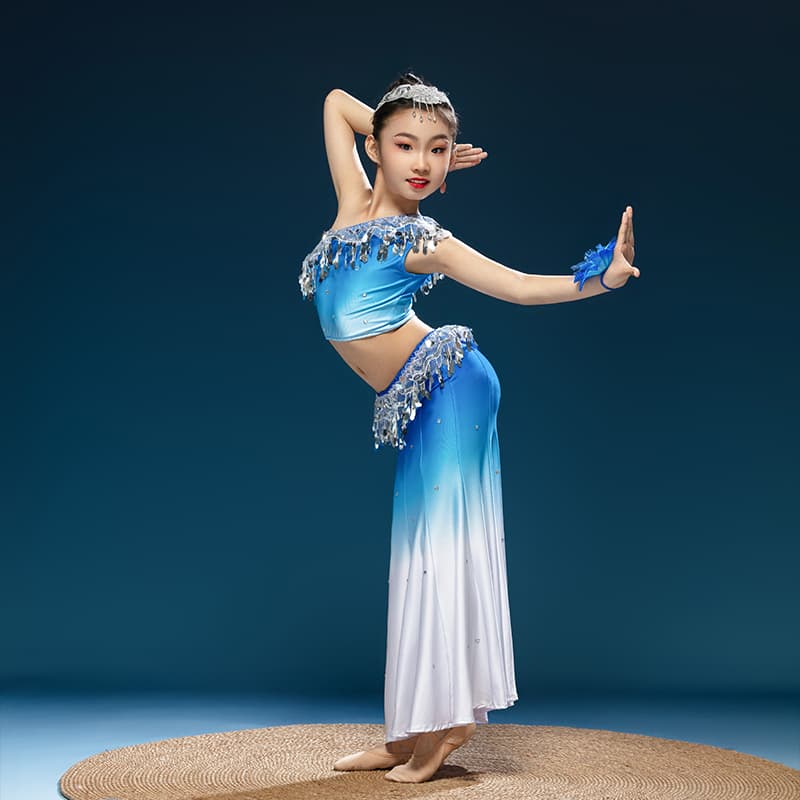 ダンス衣装 ダンス衣装 きらめき舞姫セパレート衣装