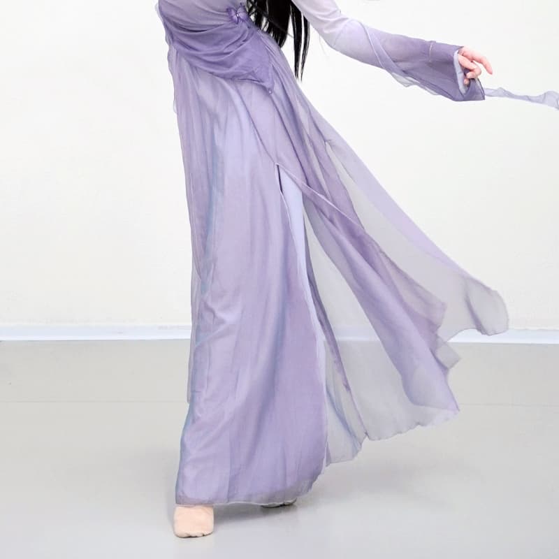 ダンス衣装 ダンス衣装 優雅な舞姫ワンピース